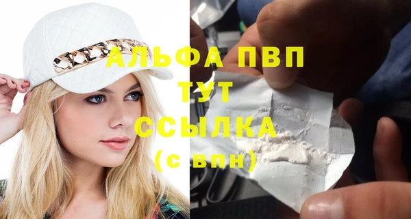 ешки Ельня