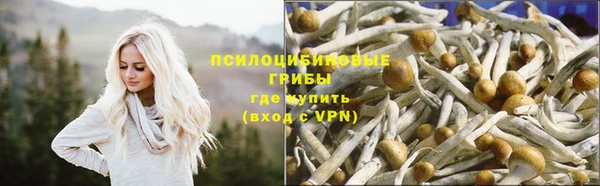 jwh Елизово