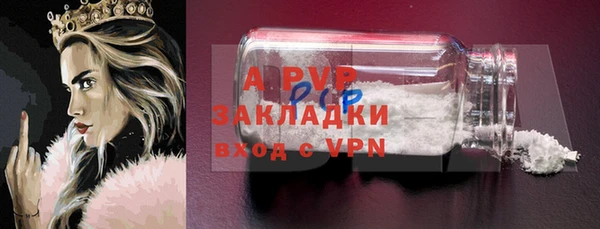 ешки Ельня