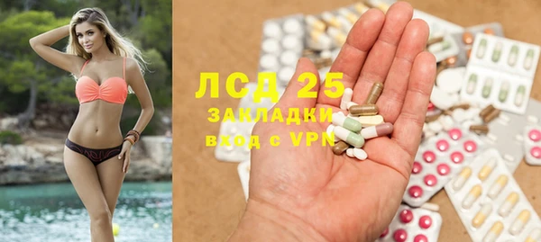 ешки Ельня