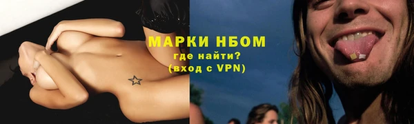 ешки Ельня